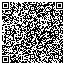 QR code with Pts Central contacts