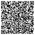 QR code with McGees contacts