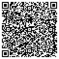 QR code with Mspf contacts