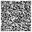 QR code with Curry's Chimney Sweeping contacts