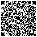 QR code with Celmas Dry Cleaners contacts