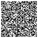 QR code with Punjab Mobil Mart Inc contacts