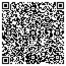 QR code with Pyramid Life contacts