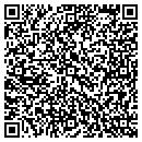 QR code with Pro Media Sales Inc contacts