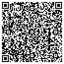 QR code with Puppy Shoppe contacts