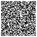 QR code with Professional Autonews contacts