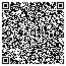 QR code with Cfo Accounting Center contacts