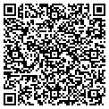 QR code with Falcon contacts