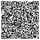 QR code with Carone Paper Hanging contacts