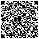 QR code with Circuit Criminal Court contacts