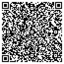 QR code with Premiere Investigation contacts