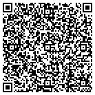 QR code with Blue Emulations Inc contacts