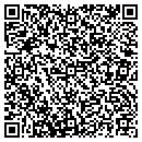 QR code with Cybercare Corporation contacts