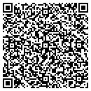 QR code with Blueibis Art Gallery contacts