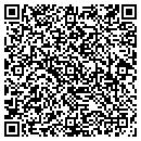 QR code with Ppg Auto Glass LLC contacts