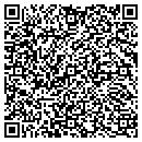 QR code with Public Library Systems contacts