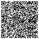QR code with Professional Roofing contacts