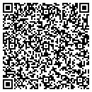 QR code with Blue Dolphin Carpet contacts