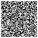 QR code with Pyke Signs Inc contacts
