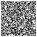 QR code with Babushkyn Inc contacts