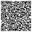 QR code with Pro Tennis World contacts