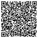 QR code with Saltys contacts