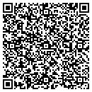 QR code with Cityline Travel Inc contacts
