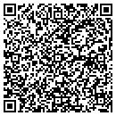 QR code with Psypher Inc contacts