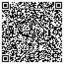 QR code with City Of Dardanelle contacts