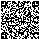 QR code with Blue Ball Volunteer contacts