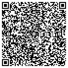 QR code with Plastics Consulting Inc contacts