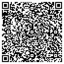 QR code with Pulaski County contacts