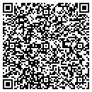 QR code with Ptdbailey Inc contacts