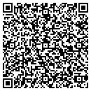 QR code with Pyramid Computers contacts