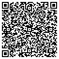 QR code with Kilims contacts