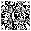 QR code with Prodigy Flooring Inc contacts