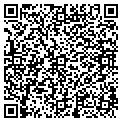 QR code with Avda contacts