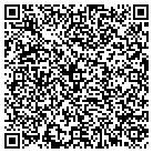 QR code with City Center At Royal Palm contacts
