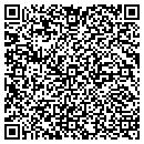 QR code with Public Library Systems contacts