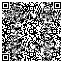 QR code with Pro Tech Team contacts