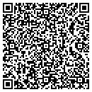 QR code with Punta Cabo Corp contacts