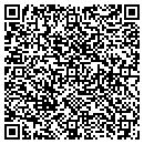 QR code with Crystal Connection contacts