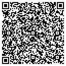 QR code with Premier Chemicals LLC contacts