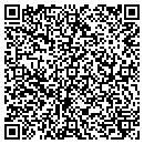 QR code with Premier Limo Service contacts