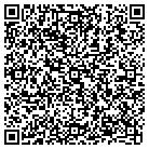 QR code with Public Opinon Strategies contacts