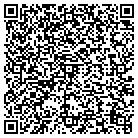 QR code with Spring Valley Motors contacts