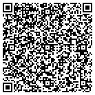 QR code with Pure Flow Water Filters contacts