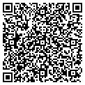 QR code with Mister contacts