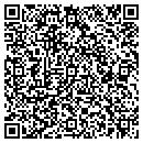 QR code with Premier Aviation Inc contacts