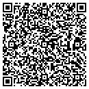 QR code with Blue Run Plumbing Inc contacts